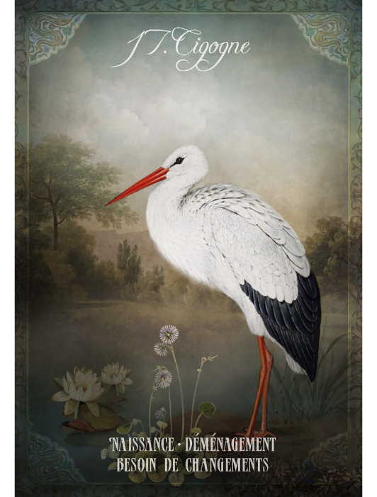 Carte de la Cigogne "Naissance, déménagement, besoin de changements" de l'oracle Mademoiselle Lenormand par Gabriel Sanchez.